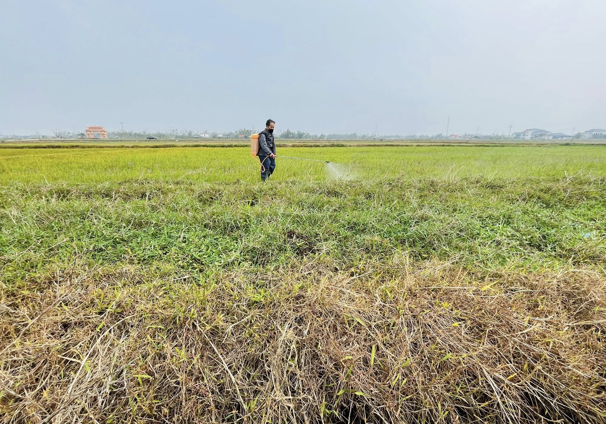 Xã Đồng Tiến khuyến cáo người dân không nên sử thuốc trừ cỏ để cải tạo đồng ruộng