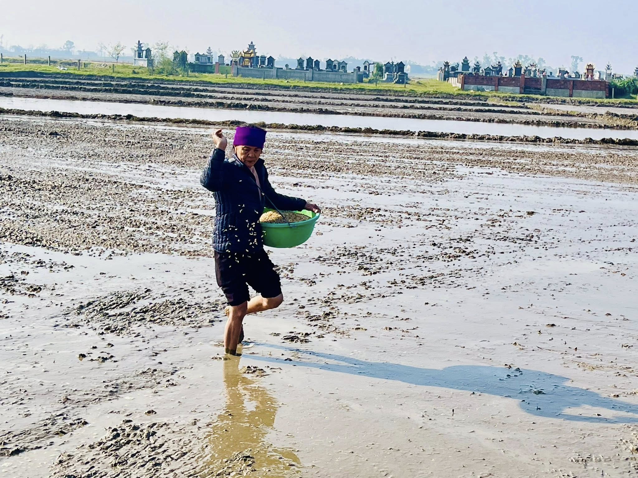 Nông dân xã Đồng Tiến, tỉnh Hà Tĩnh ra đồng xuống giống lúa vụ xuân năm 2026