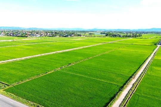 Bà con nông dân xã Đồng Tiến, tỉnh Hà Tĩnh tích cực ra đồng tỉa dặm, bón phân, điều tiết nước cho lúa hè thu năm 2026.  