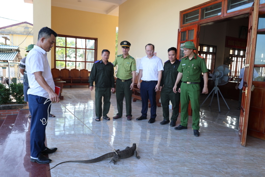 Người dân xã Đồng Tiến tự nguyện giao nộp động vật hoang dã cho cơ quan chức năng